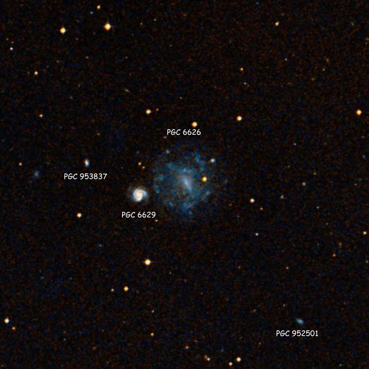 DSS image of region near irregular galaxy PGC 6626, also known as Arp 4