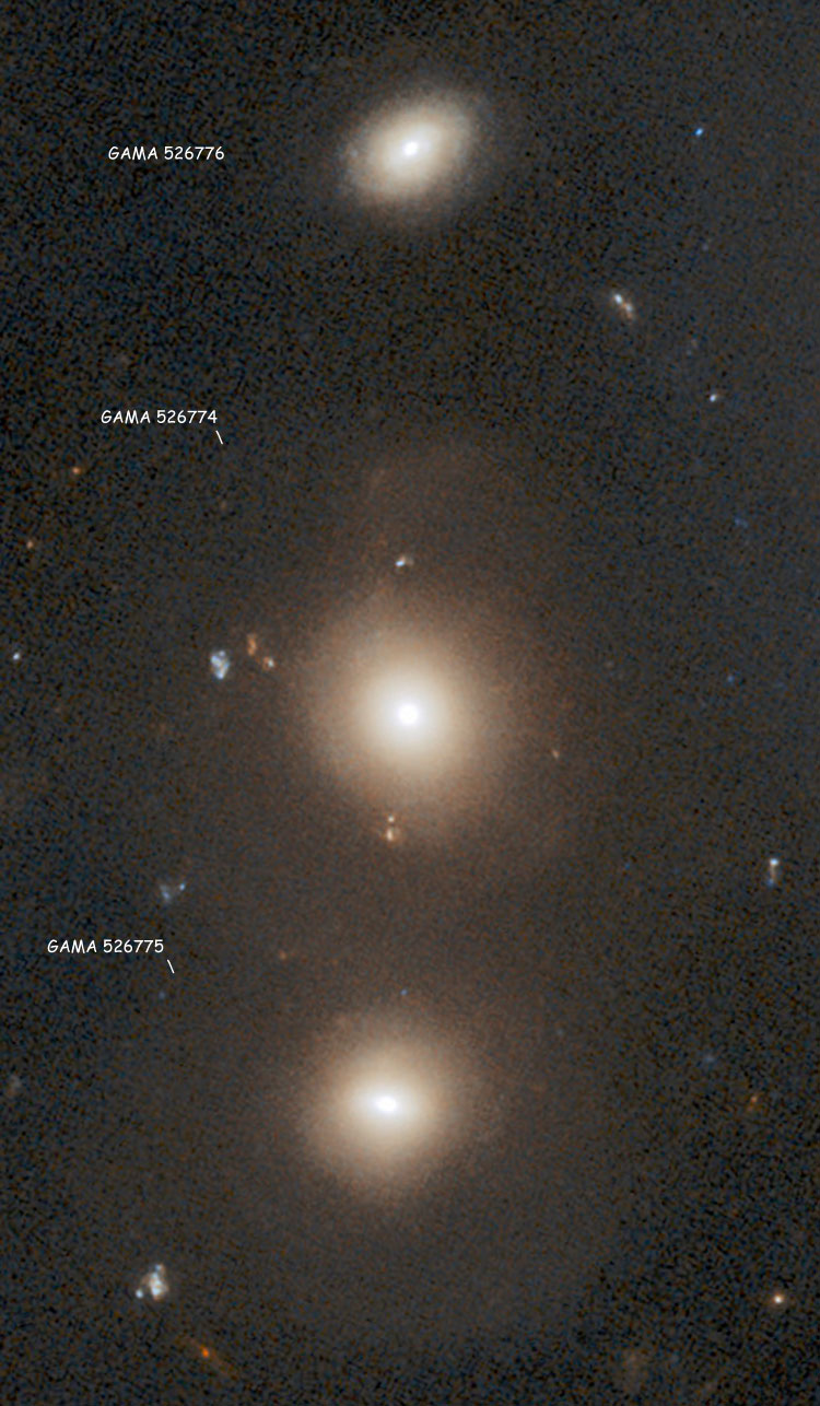 HST image of lenticular galaxy GAMA 526774, lenticular galaxy GAMA 526775, and spiral galaxy GAMA 526776