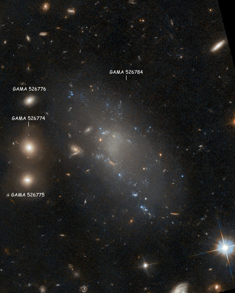 HST image of region near the ultra-diffuse galaxy GAMA 526784