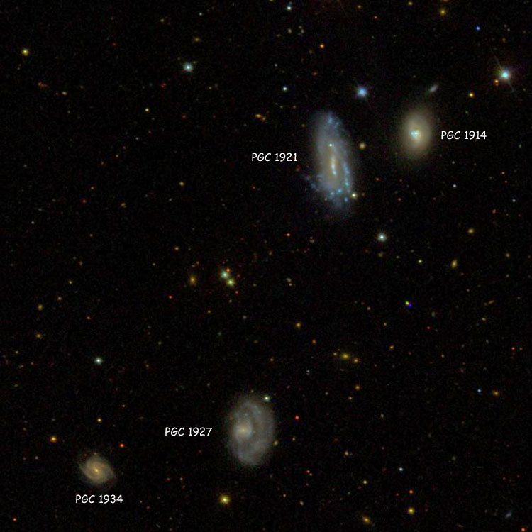 SDSS image of Hickson Compact Group (HCG) 2 showing PGC labels
