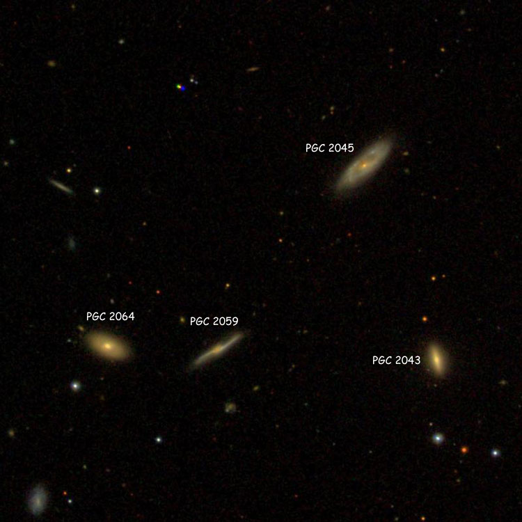 SDSS image of Hickson Compact Group (HCG) 3 showing PGC labels