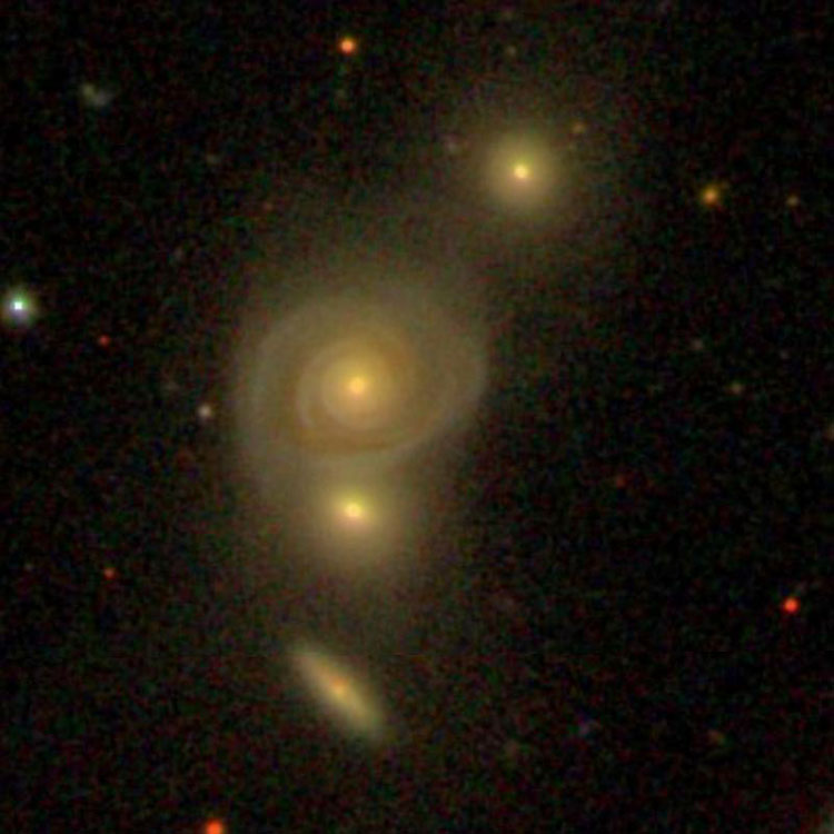 SDSS image of Hickson Compact Group 5
