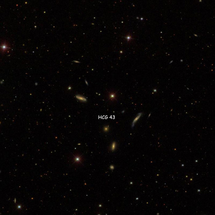 SDSS image of region near Hickson Compact Group 43