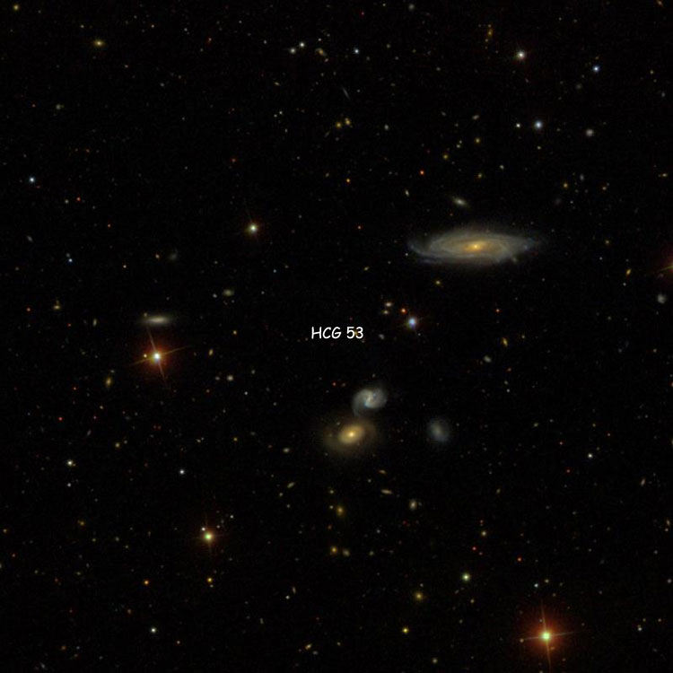 SDSS image of region near Hickson Compact Group 53