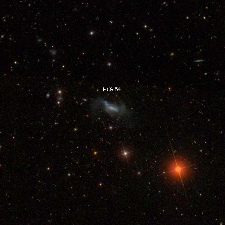 SDSS image of region near Hickson Compact Group 54