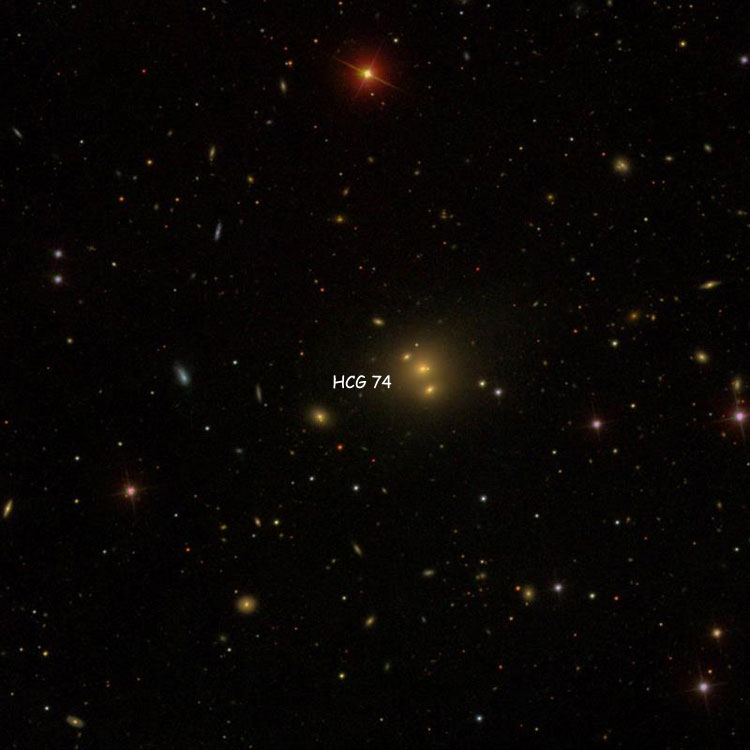 SDSS image of region near Hickson Compact Group 74