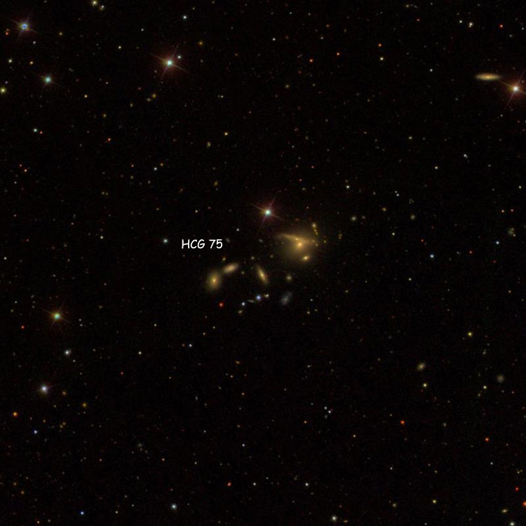 SDSS image of region near Hickson Compact Group 75