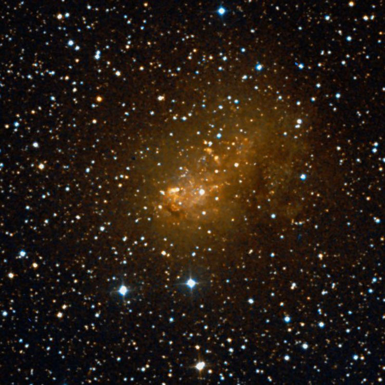 DSS image of dwarf irregular galaxy IC 10