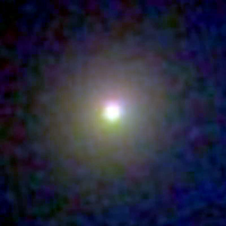 SDSS image of elliptical galaxy IC 113