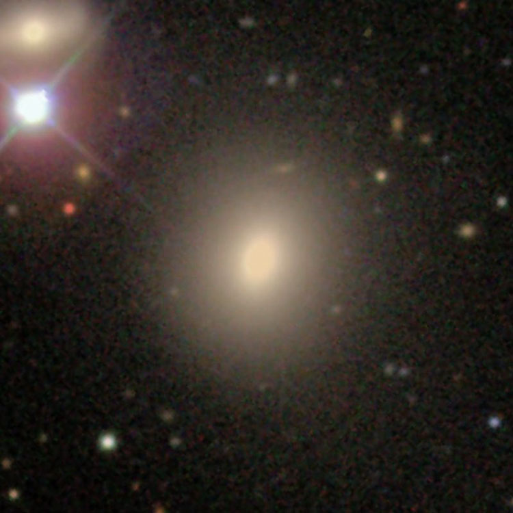 SDSS image of lenticular galaxy IC 1153