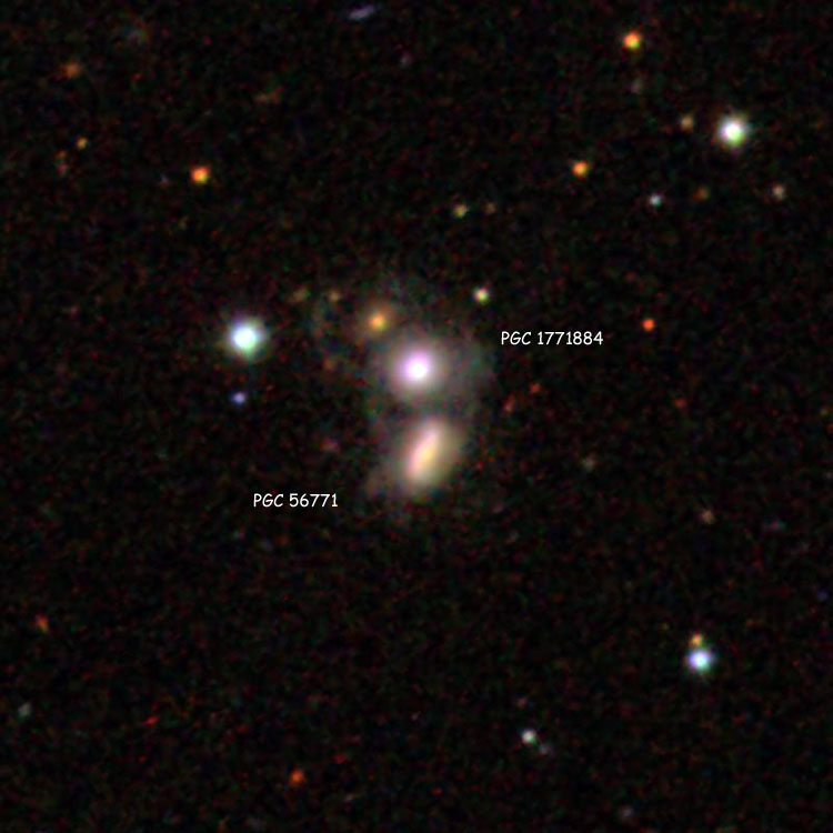SDSS image of spiral galaxies PGC 56771 and PGC 1771884, which comprise IC 1166