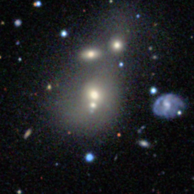 SDSS image of spiral galaxy IC 1230 and its numerous apparent companions