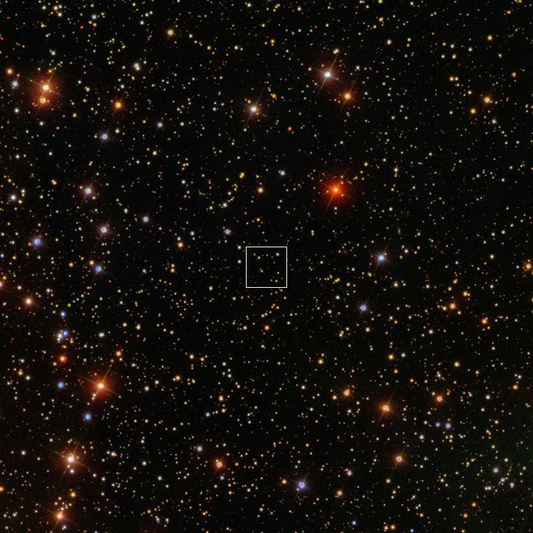 SDSS image of region near Wolf's position for IC 155