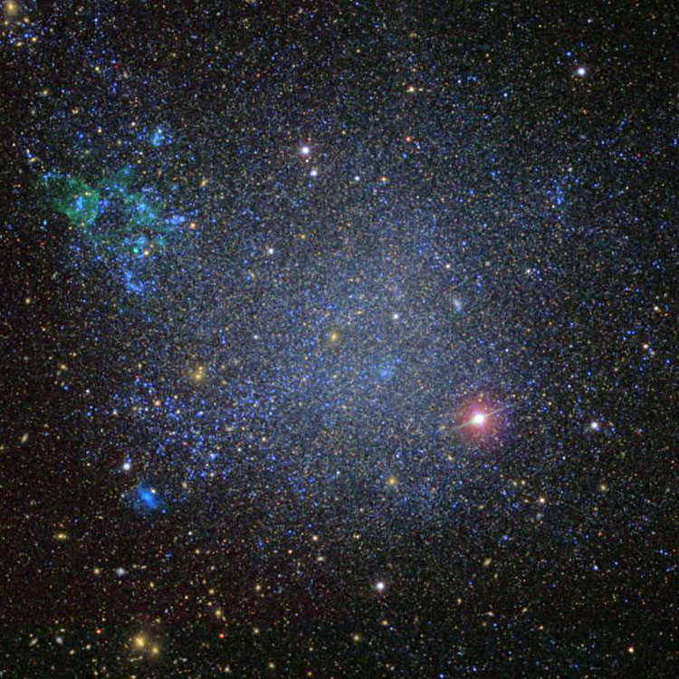 SDSS image of irregular galaxy IC 1613