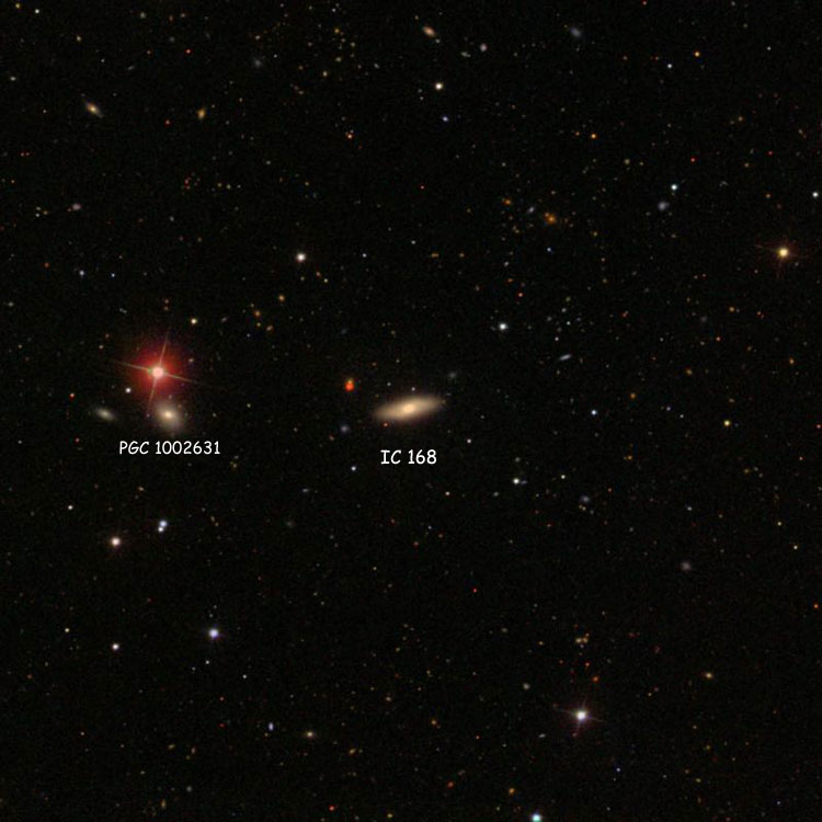 SDSS image of region near lenticular galaxy IC 168, also showing PGC 1002631