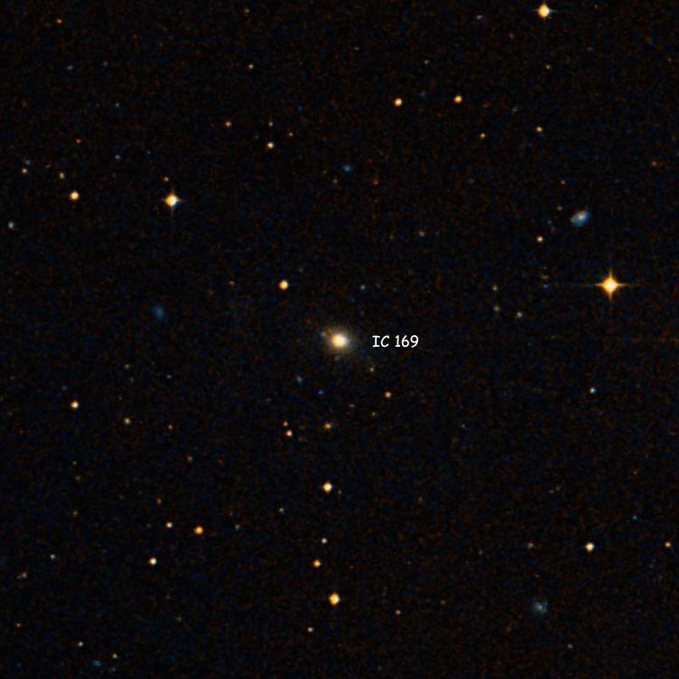 DSS image of region near lenticular galaxy IC 169