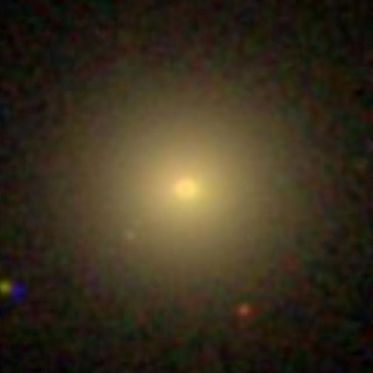 SDSS image of elliptical galaxy IC 17