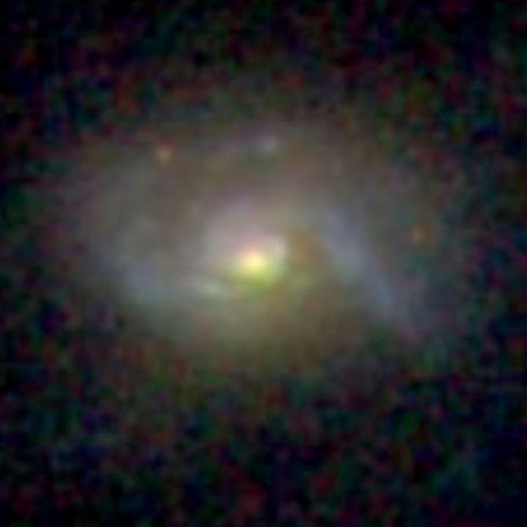 SDSS image of spiral galaxy IC 172