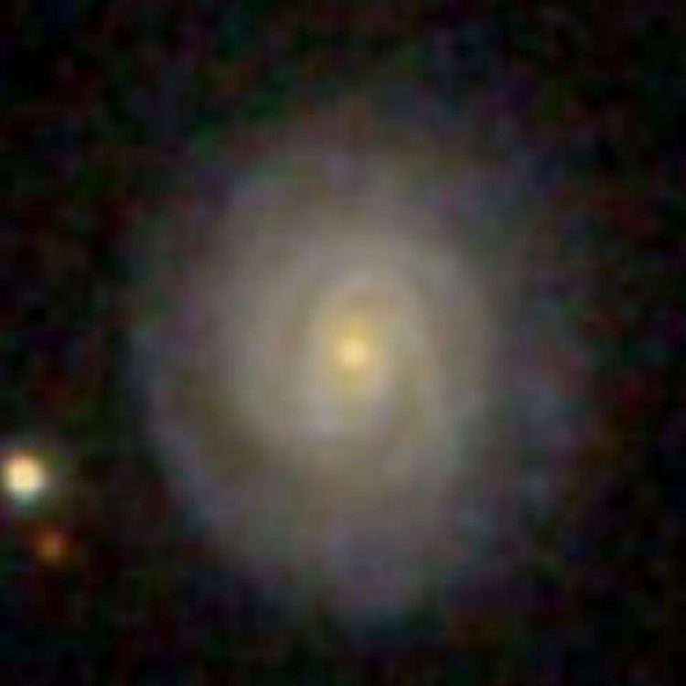 SDSS image of spiral galaxy IC 175