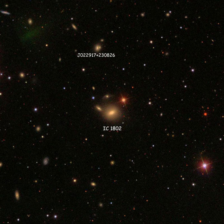 SDSS image of region near lenticular galaxy IC 1802, also showing 2MASX J02291731+2308260, the galaxy identified by Steinicke as IC 1803