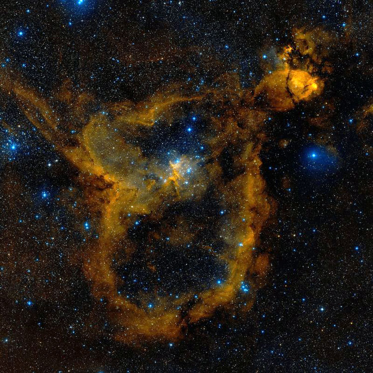DSS view of the Heart Nebula and its associated clusters