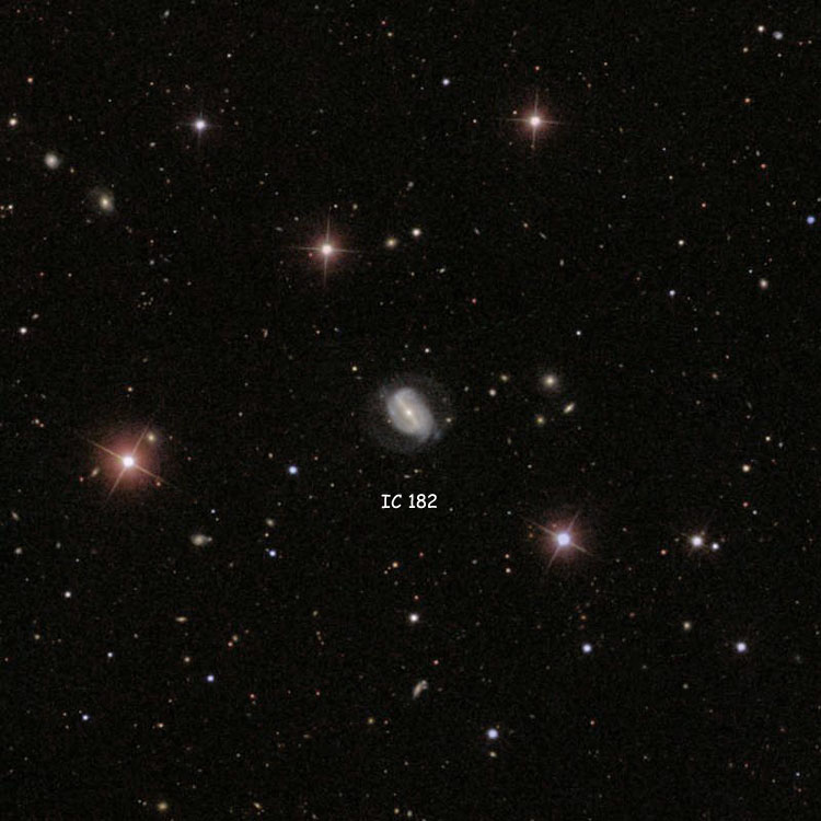 SDSS image of region near spiral galaxy IC 182