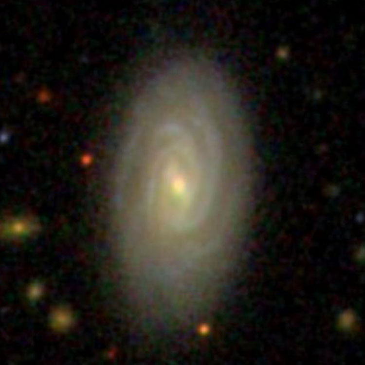 SDSS image of spiral galaxy IC 184