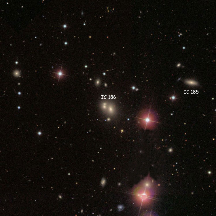 SDSS image of region near the triplet of lenticular galaxies listed as IC 186, also showing IC 185