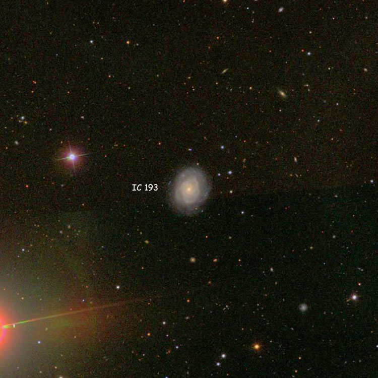 SDSS image of region near spiral galaxy IC 193