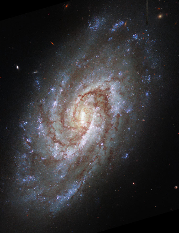 HST image of spiral galaxy IC 1954