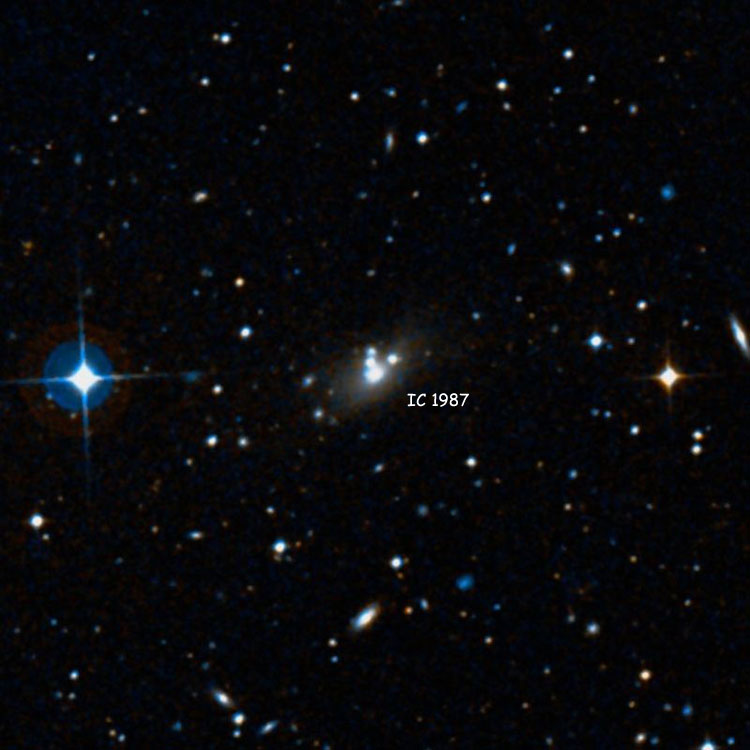 DSS image of region near spiral galaxy IC 1987