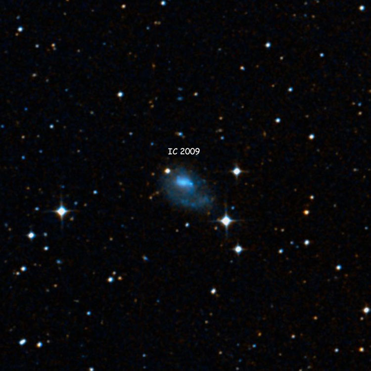 DSS image of region near irregular galaxy IC 2009