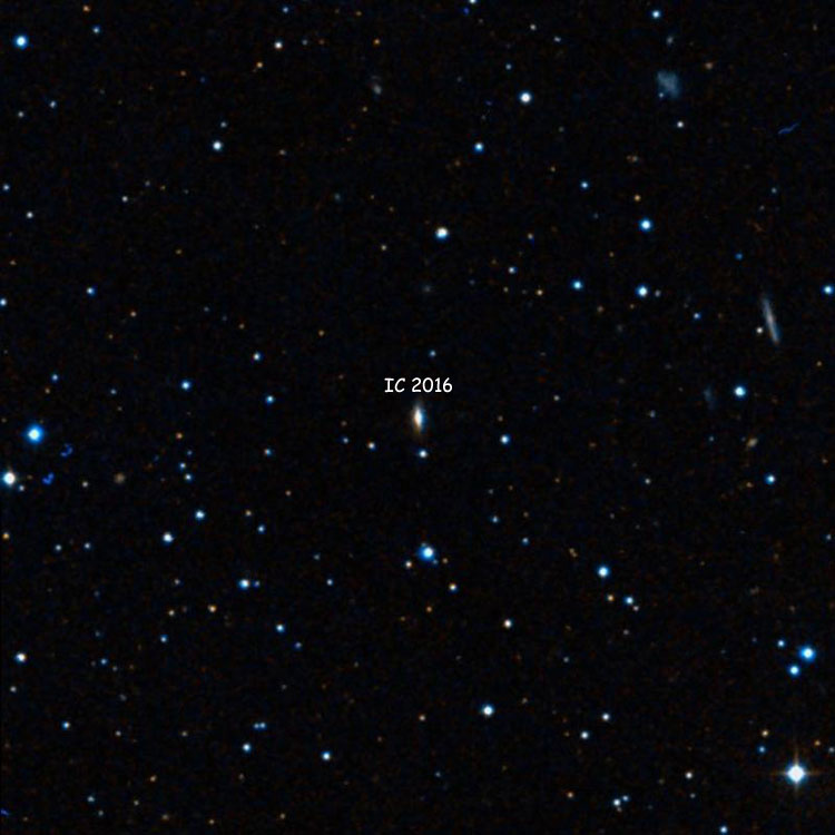 DSS image of region near lenticular galaxy IC 2016