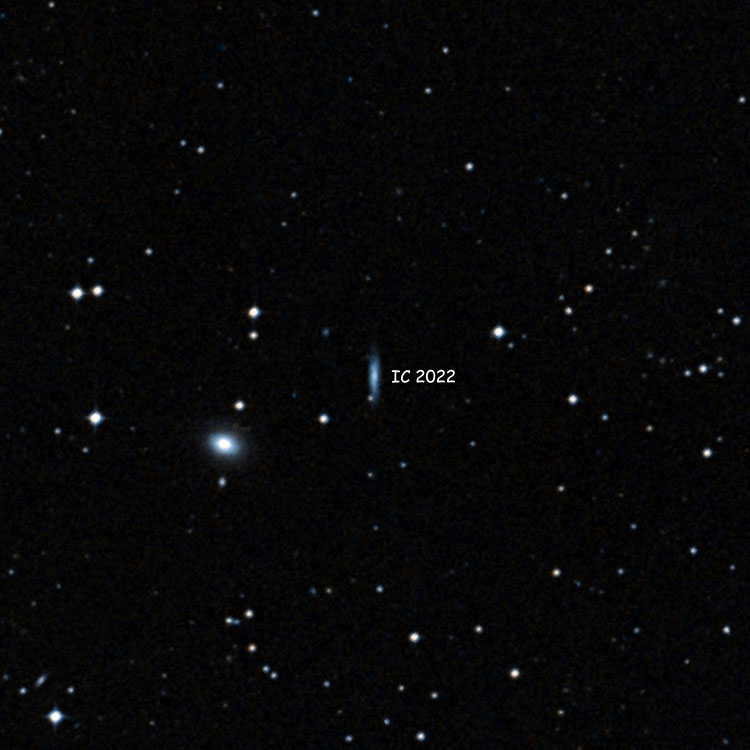 DSS image of region near spiral galaxy IC 2022