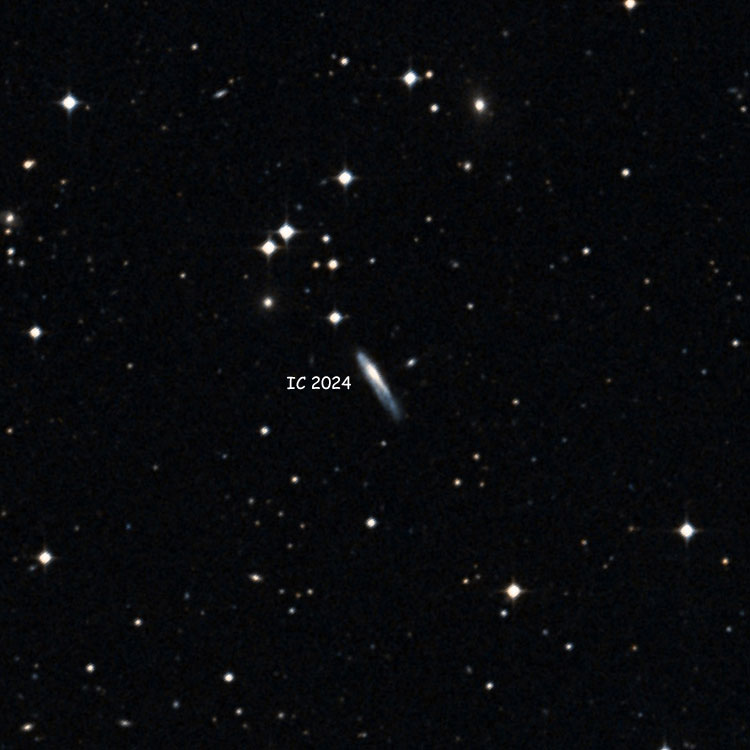 DSS image of region near spiral galaxy IC 2024