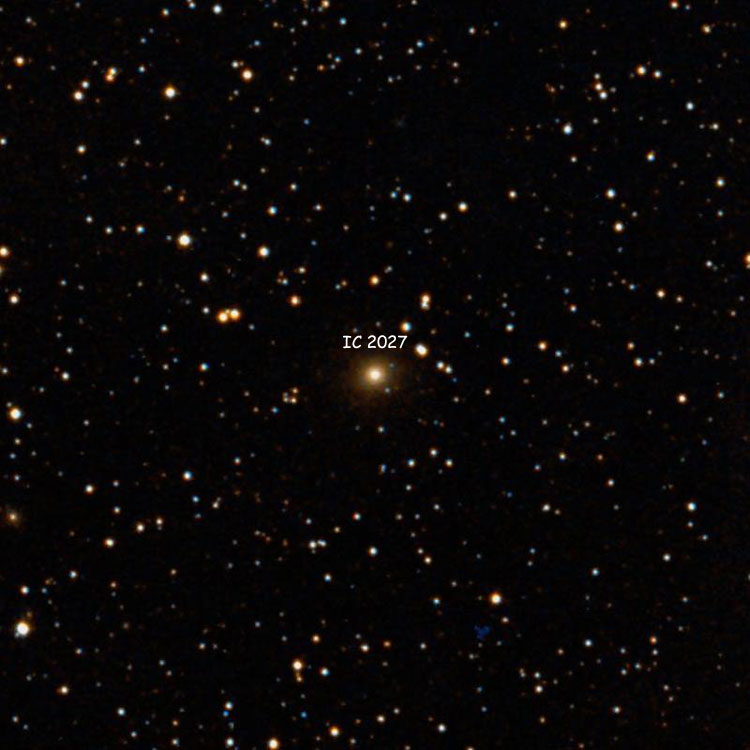 DSS image of region near elliptical galaxy IC 2027