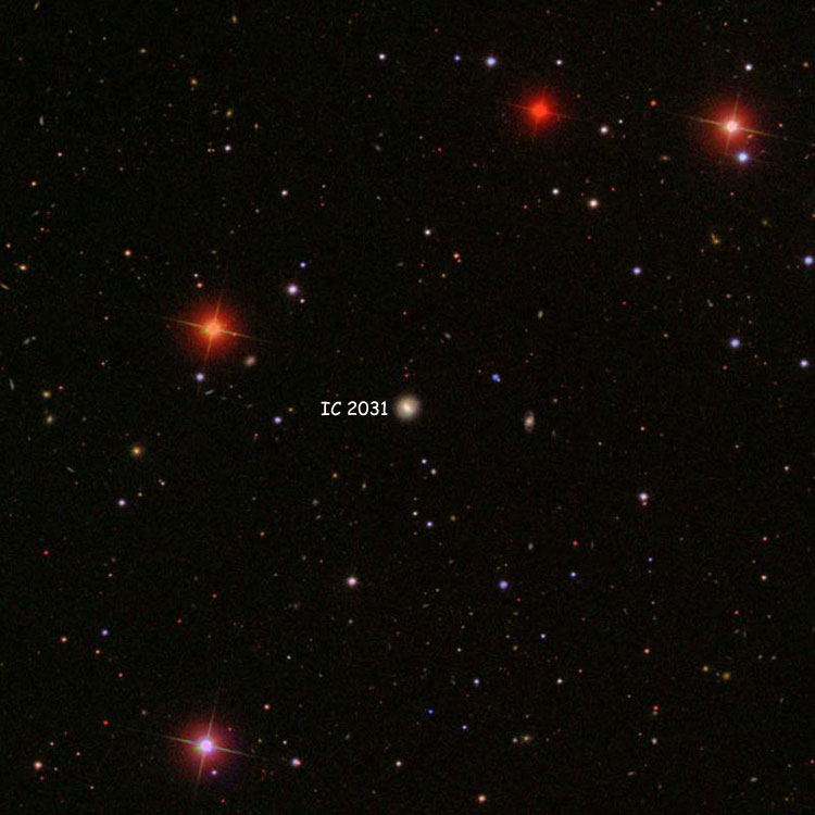 SDSS image of region near spiral galaxy IC 2031