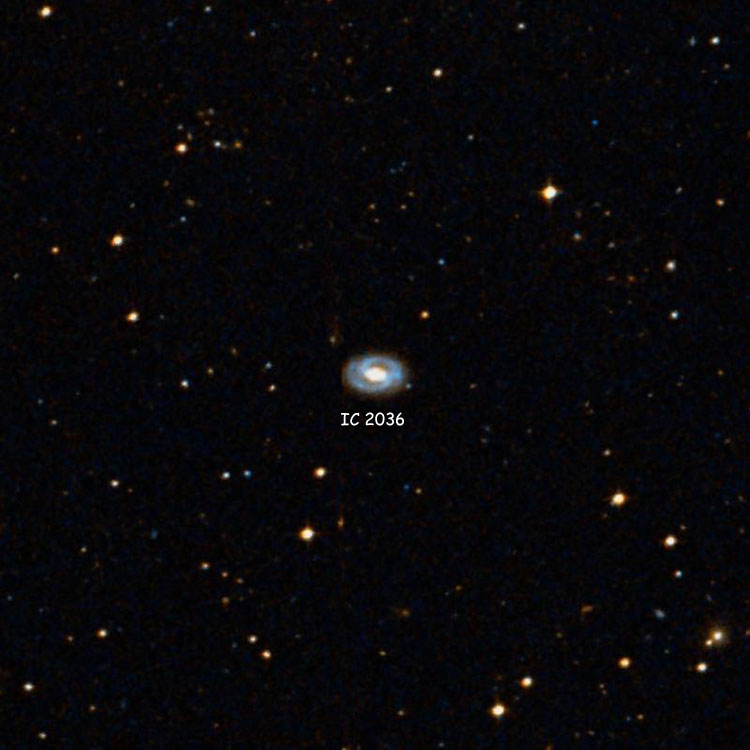 DSS image of region near spiral galaxy IC 2036