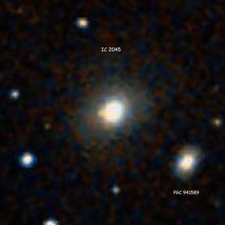 DSS image of lenticular galaxy IC 2045, which may (or may not) also be NGC 1538; also shown is PGC 941589