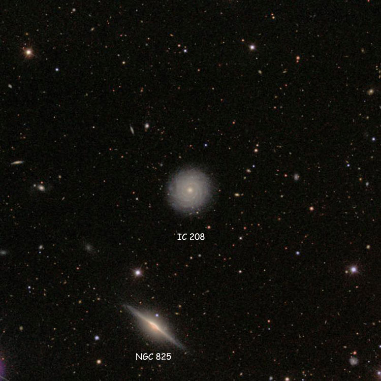 SDSS image of region near spiral galaxy IC 208, also showing NGC 825