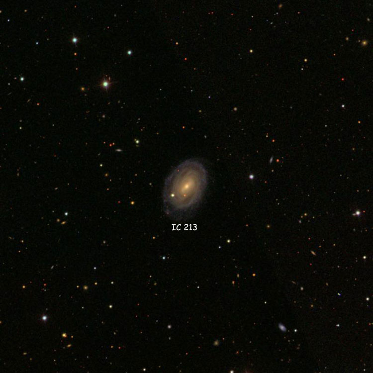 SDSS image of region near spiral galaxy IC 213
