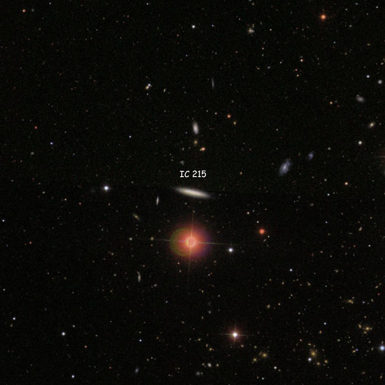 SDSS image of region near spiral galaxy IC 215