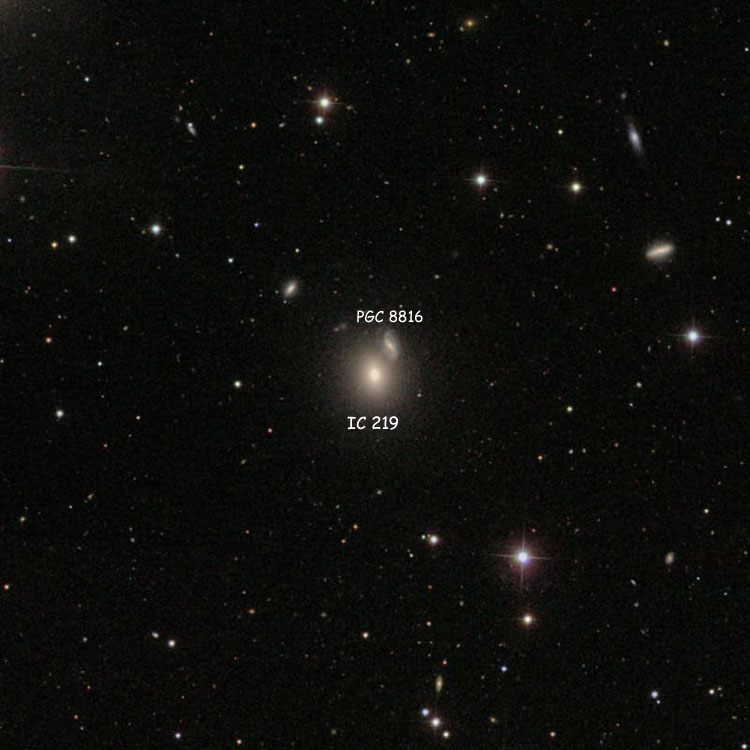 SDSS image of region near elliptical galaxy IC 219 and the much more distant PGC 8816