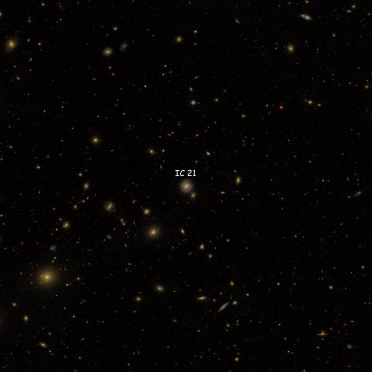 SDSS image of region near spiral galaxy IC 21