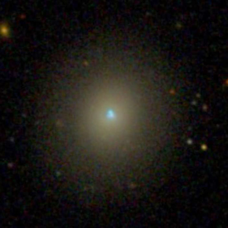 SDSS image of elliptical galaxy IC 225