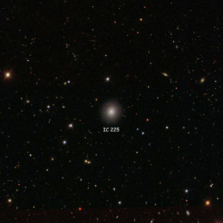 SDSS image of region near elliptical galaxy IC 225