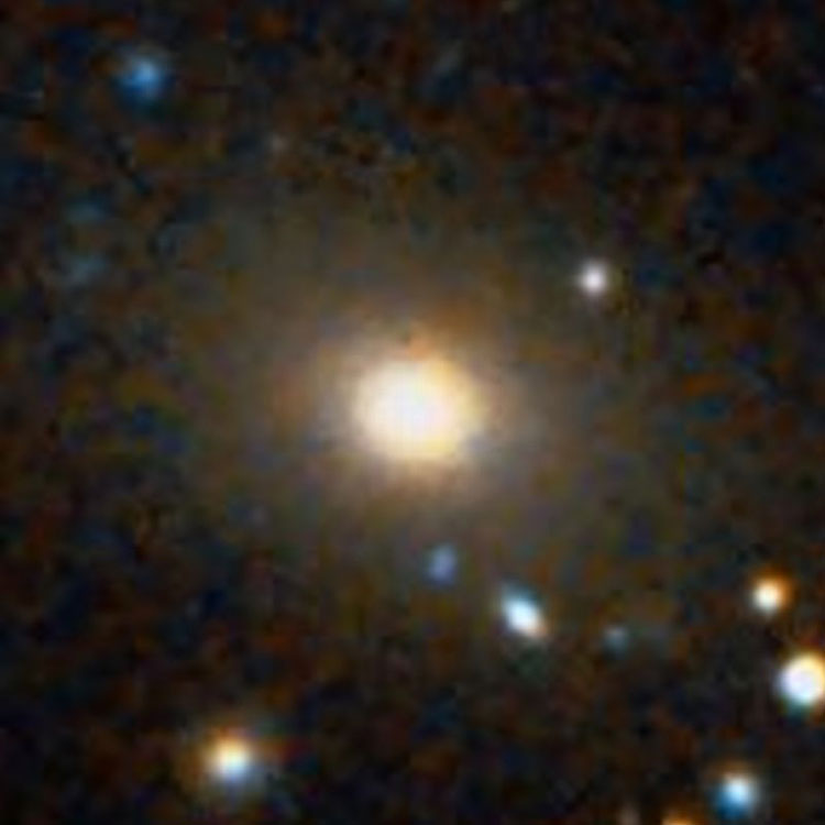 DSS image of elliptical galaxy IC 227