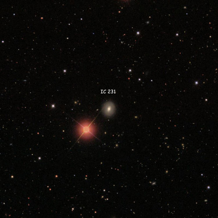 SDSS image of region near lenticular galaxy IC 231