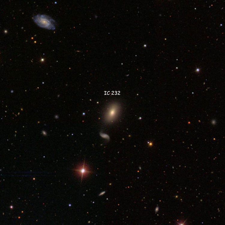 SDSS image of region near lenticular galaxy IC 232