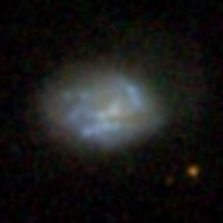 SDSS image of spiral galaxy IC 233